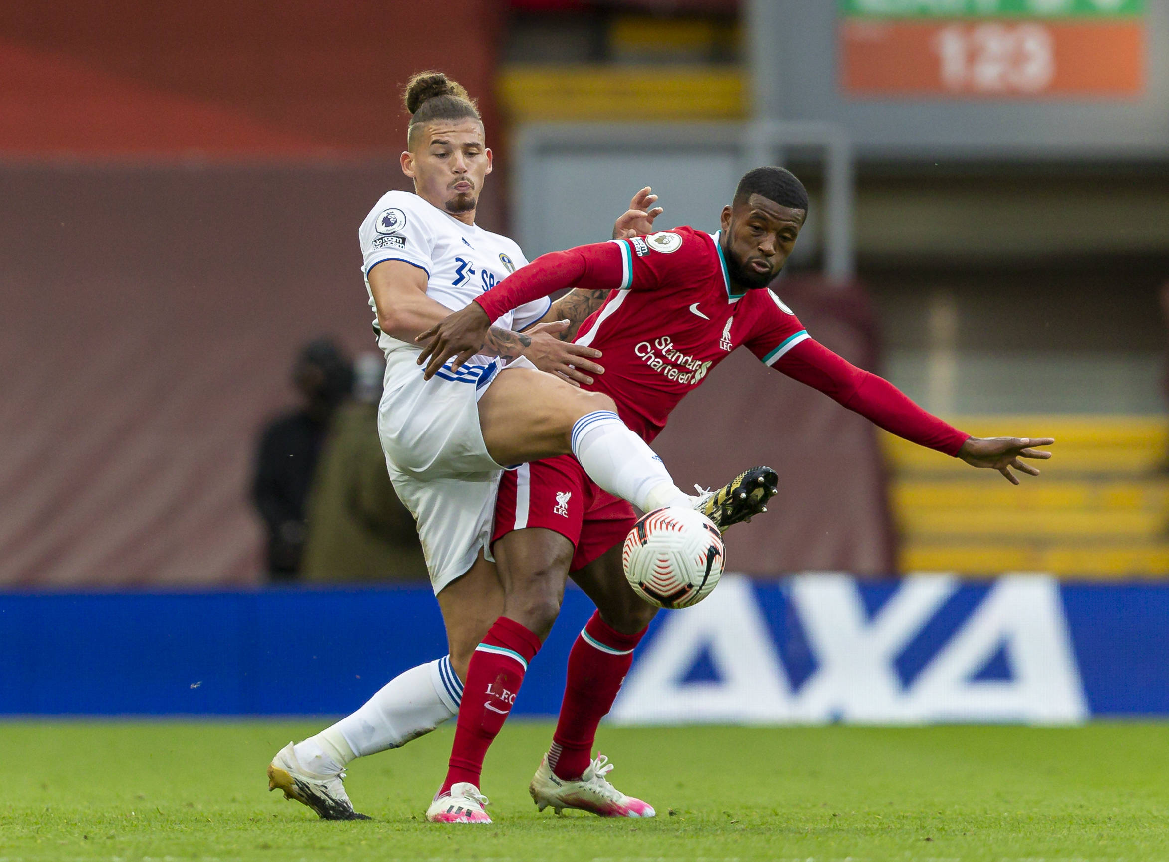 仅可见于城 仅可见于城